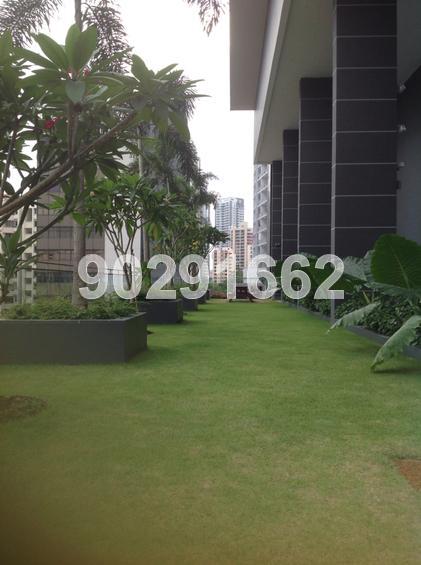 Cradels (D12), Apartment #68801992